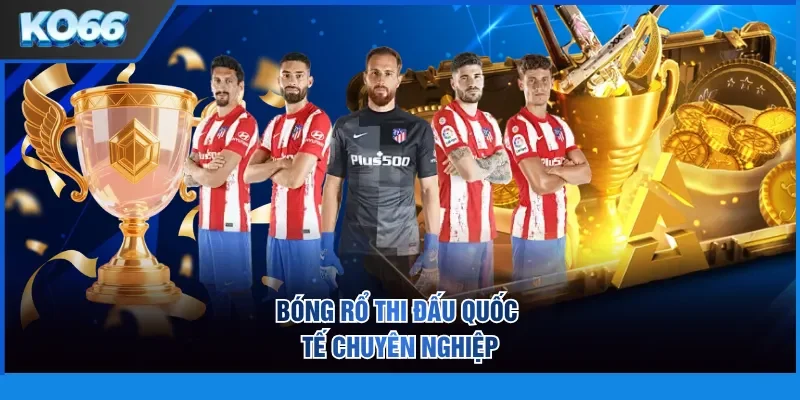 Bóng rổ thi đấu quốc tế chuyên nghiệp