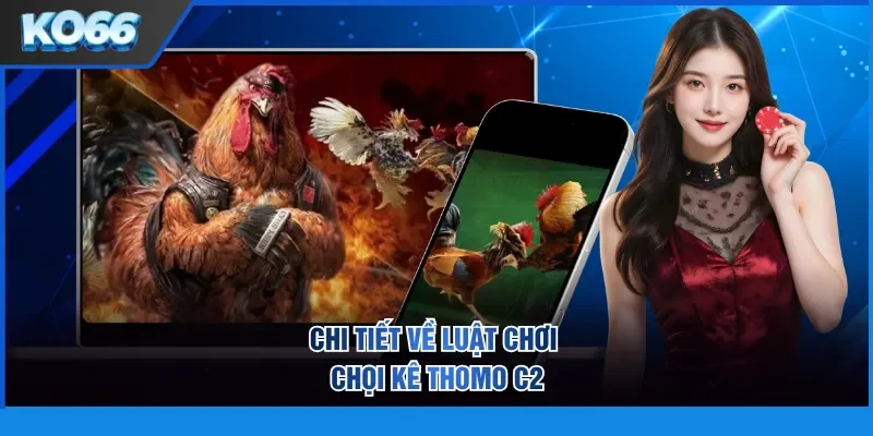 Chi tiết về luật chơi chọi kê Thomo C2