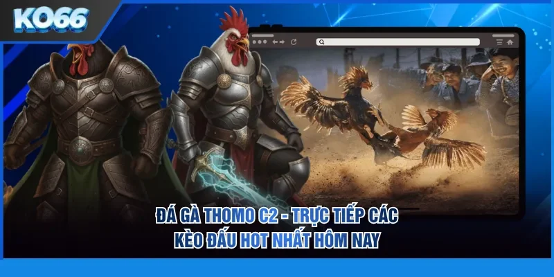 Đá gà Thomo C2
