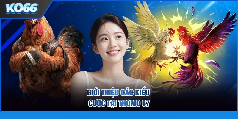 Giới thiệu các kiểu cược tại Thomo 67