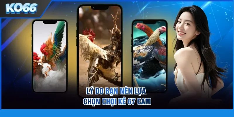 Lý do bạn nên lựa chọn chọi kê 67 cam