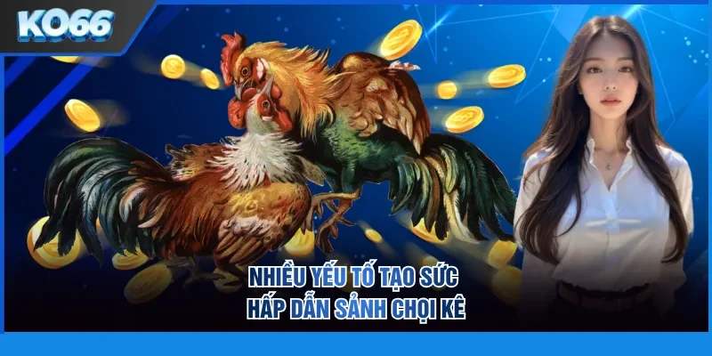 Nhiều yếu tố tạo sức hấp dẫn sảnh chọi kê