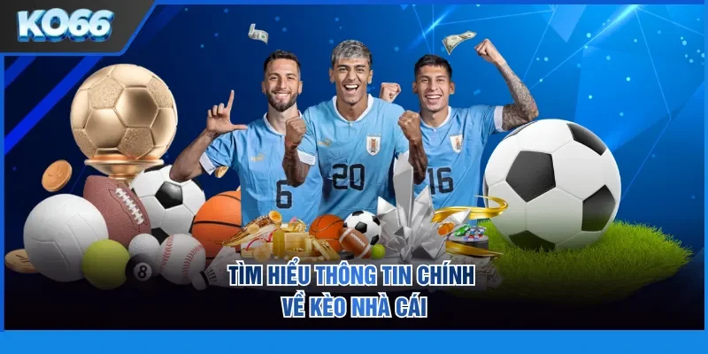 Tìm hiểu thông tin chính về kèo nhà cái