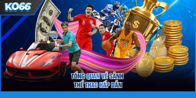 Tổng quan về sảnh thể thao hấp dẫn