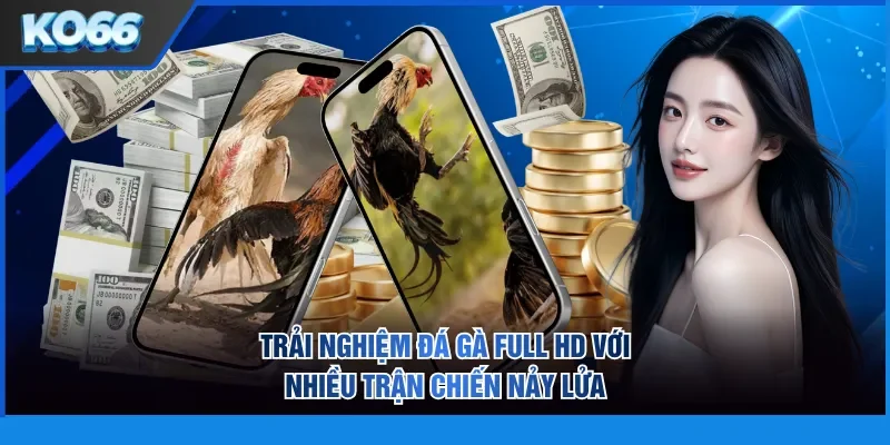 Trải nghiệm đá gà full HD với nhiều trận chiến nảy lửa